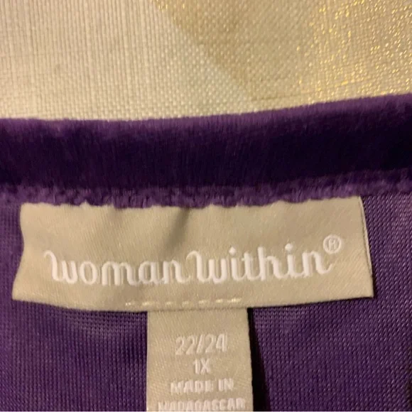 Plus Size Tunic Velour Top - Picture 3 of 3